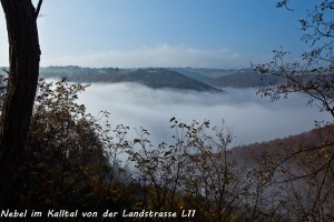24-03 Nebel im Tal von der L11 aus