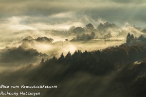 24-10 Blick vom Krawutschketurm Richtung Hetzingen