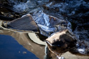 Steine, Eis und Spiegelung im Kranzbach